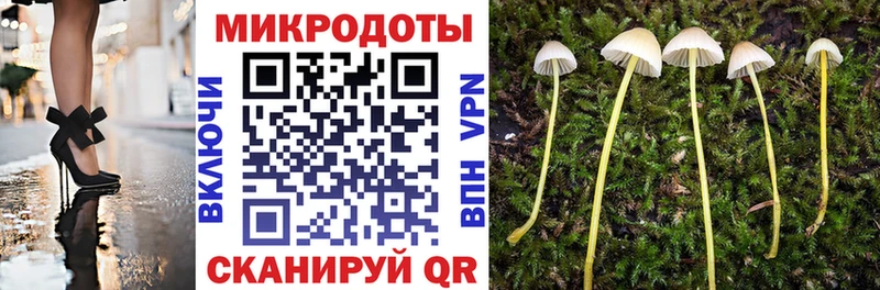 Купить где  Кукмор  Псилоцибиновые грибы Psilocybine cubensis 